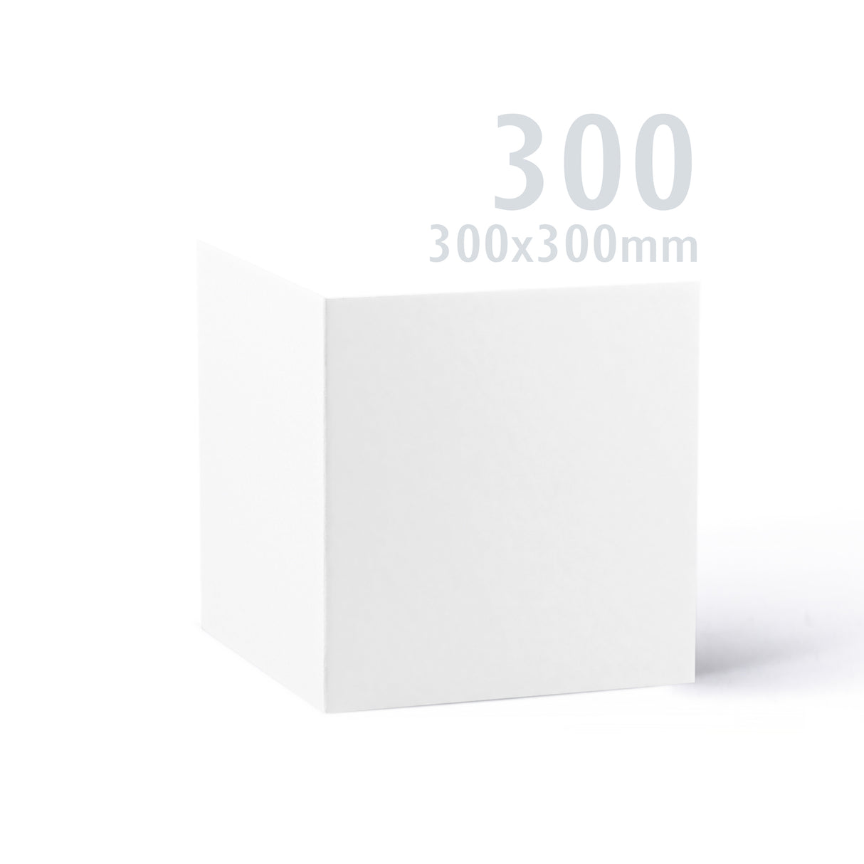 Cartoncino Premier bianco 300x300 250 g/m² confezione