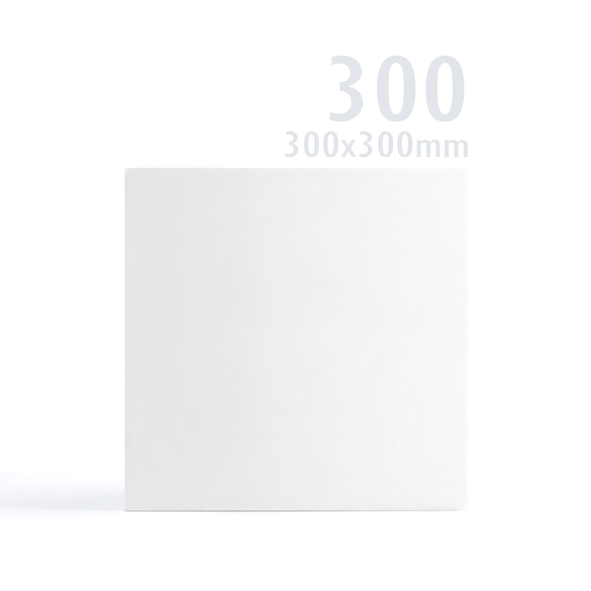 Cartoncino Premier bianco 300x300 250 g/m² confezione