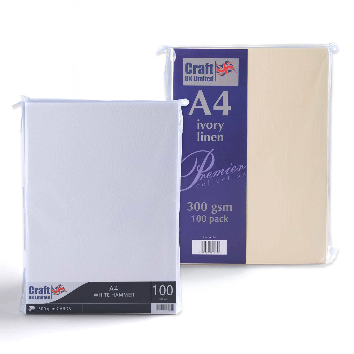 Cartoncino 300 g/m² confezione da 100 pezzi