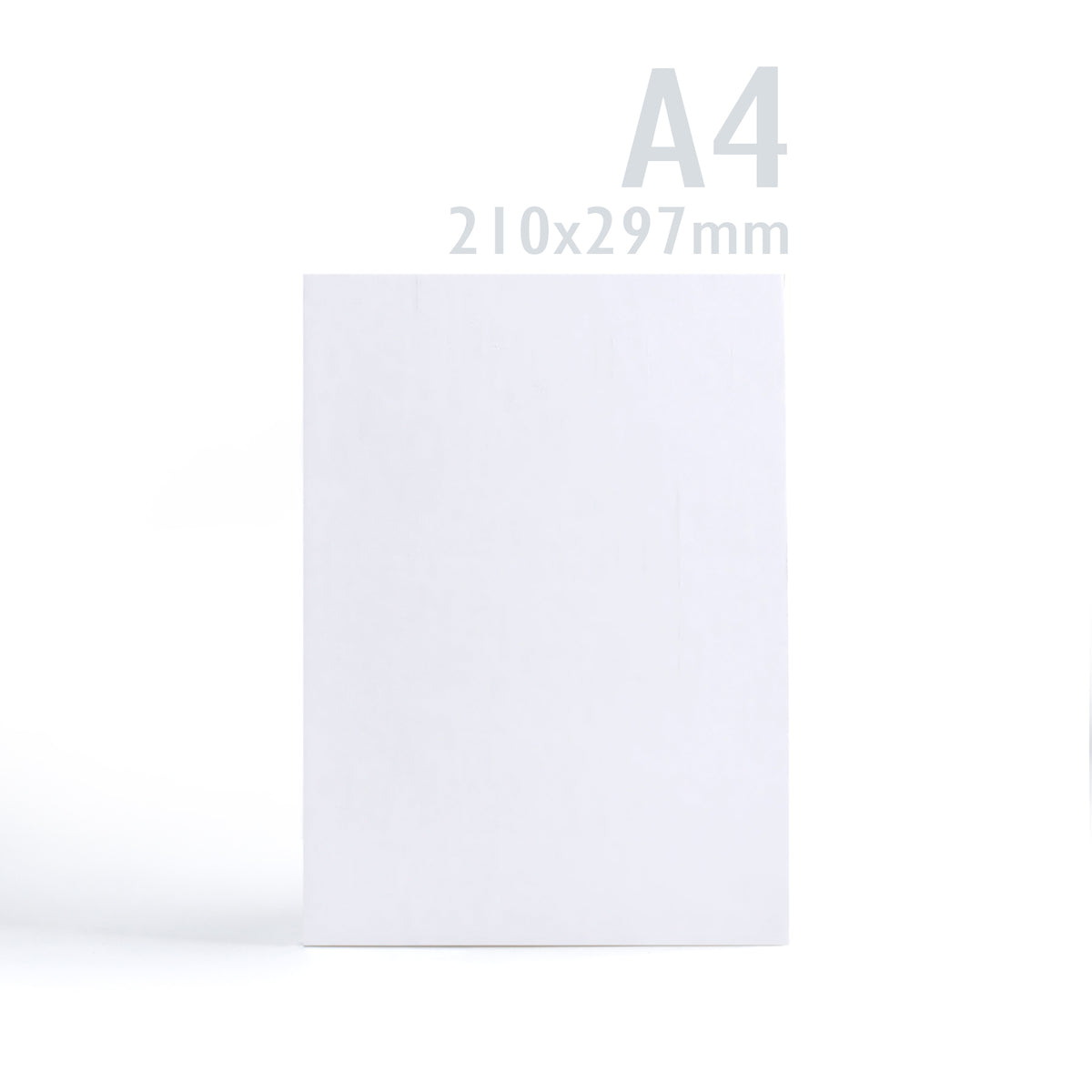 Cartoncino 300 g/m² confezione da 100 pezzi