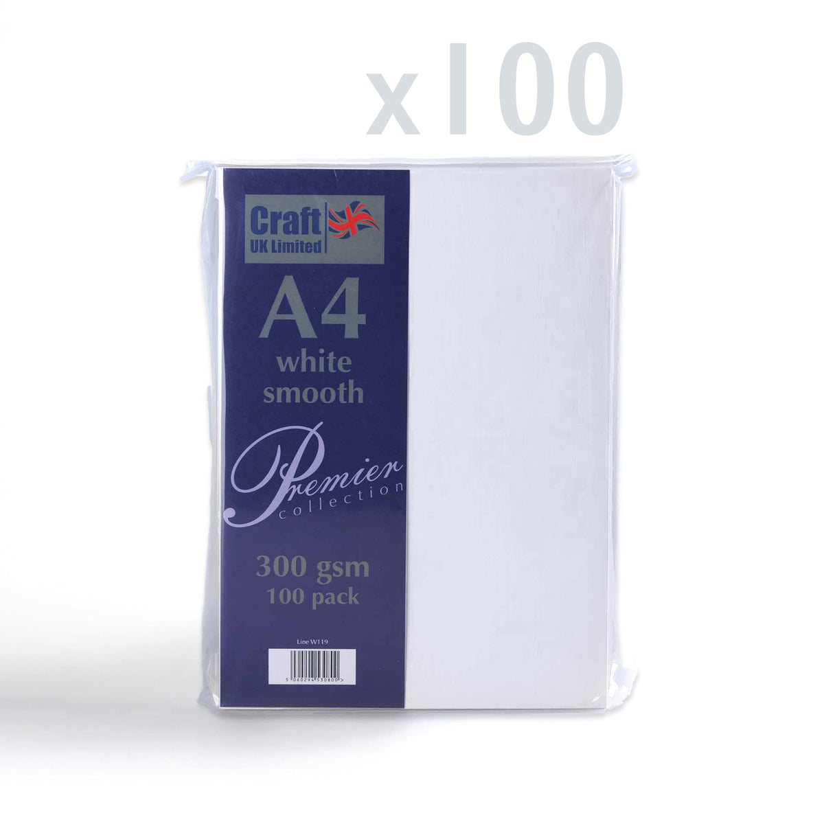 Cartoncino 300 g/m² confezione da 100 pezzi