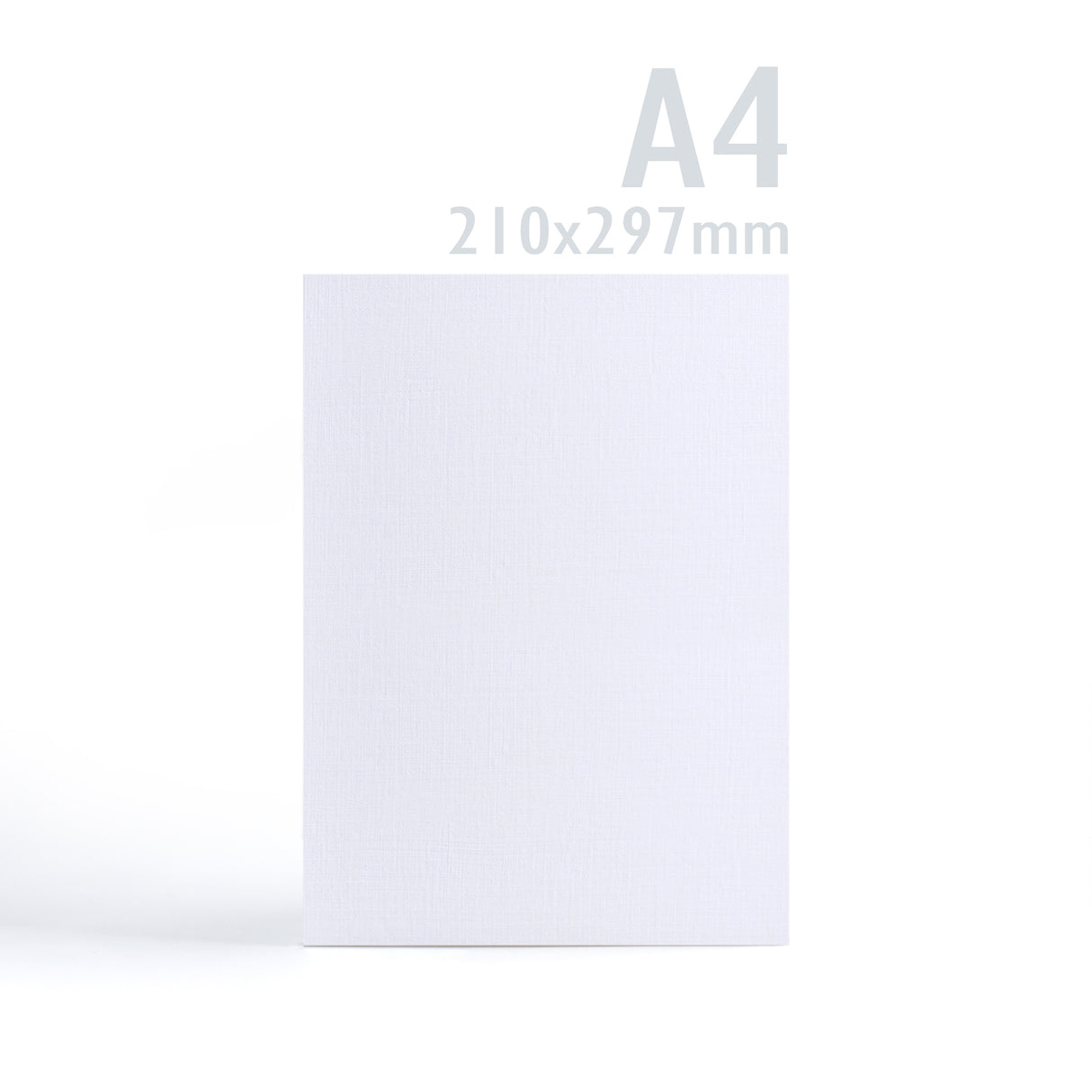 Cartoncino 300 g/m² confezione da 100 pezzi