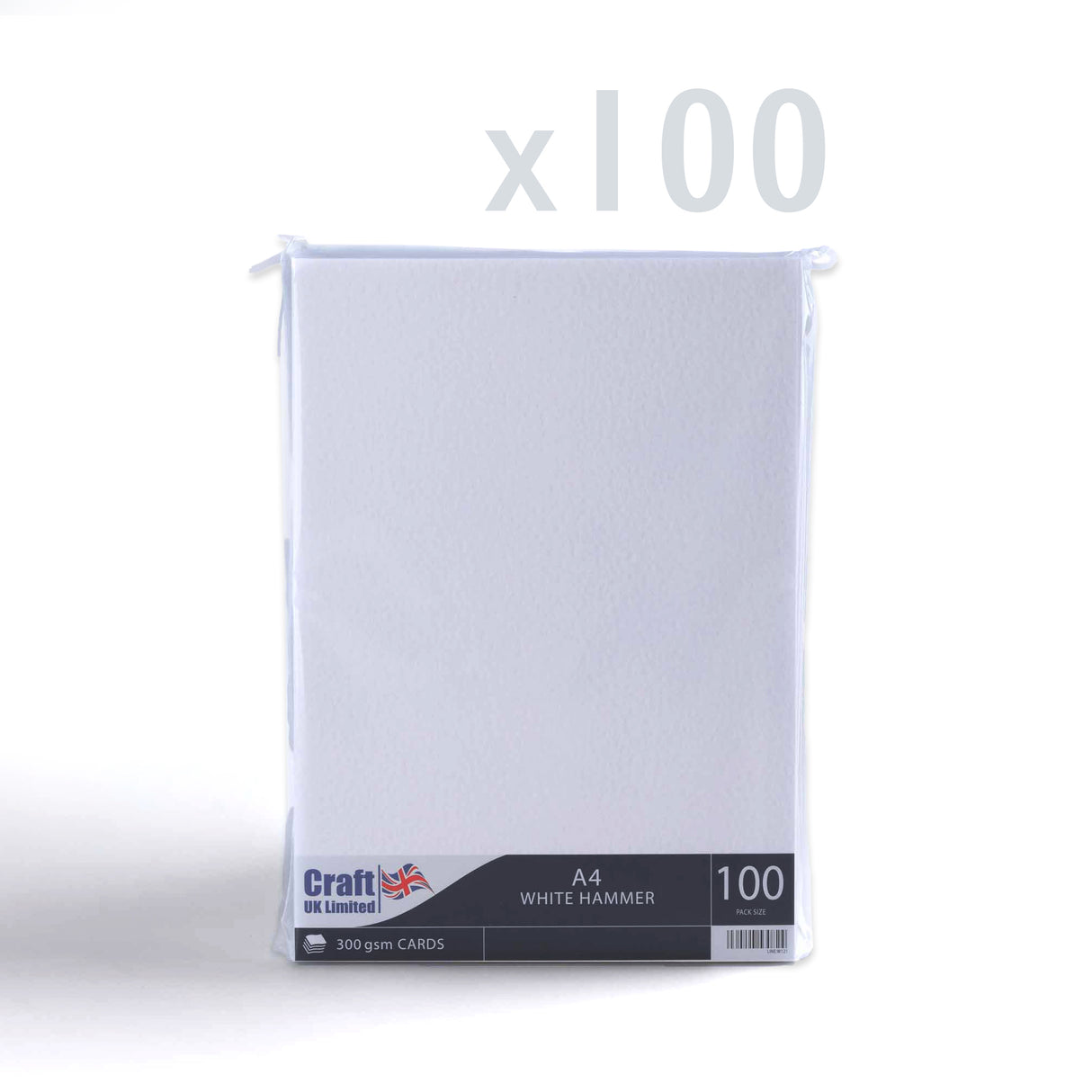 Cartoncino 300 g/m² confezione da 100 pezzi