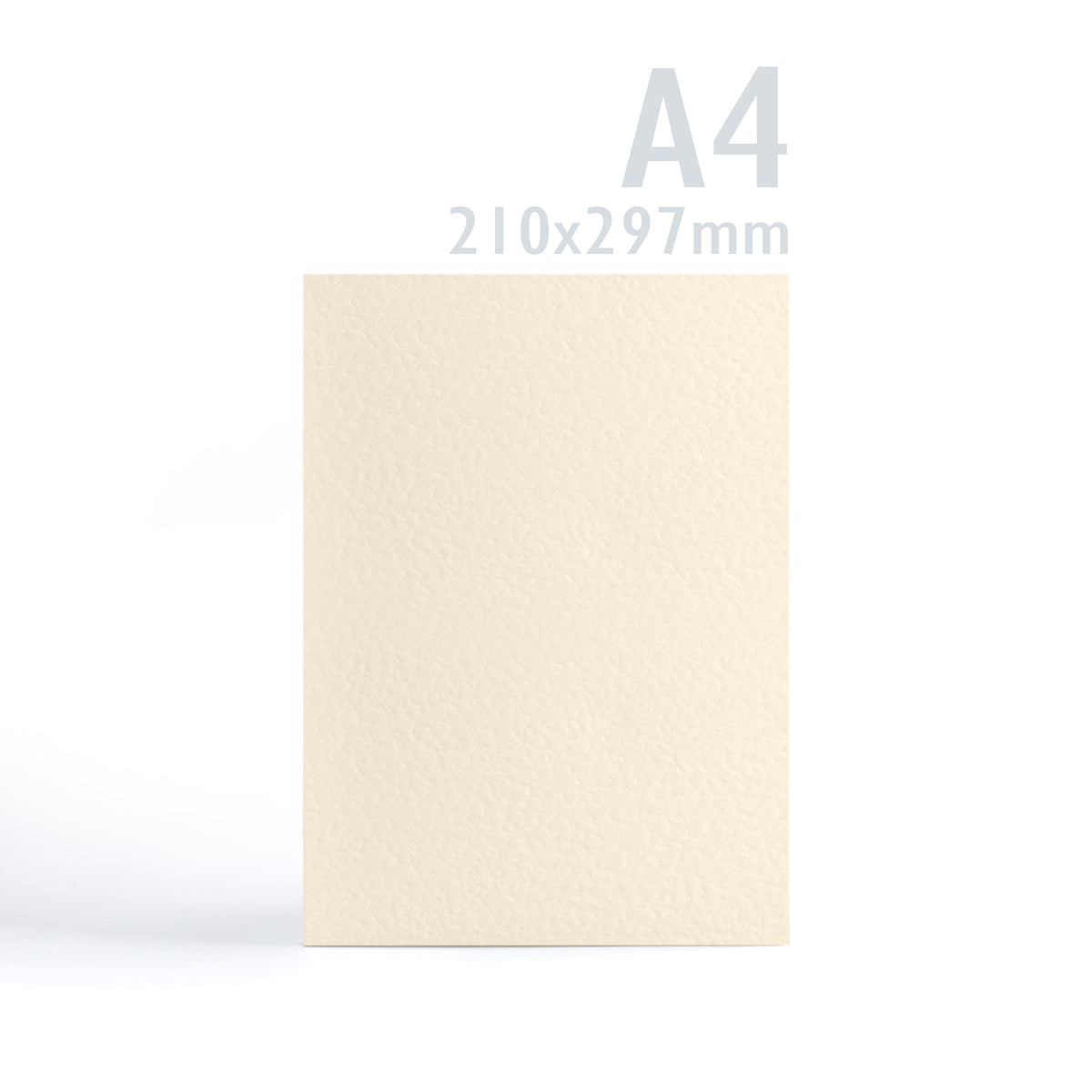 Cartoncino 300 g/m² confezione da 100 pezzi