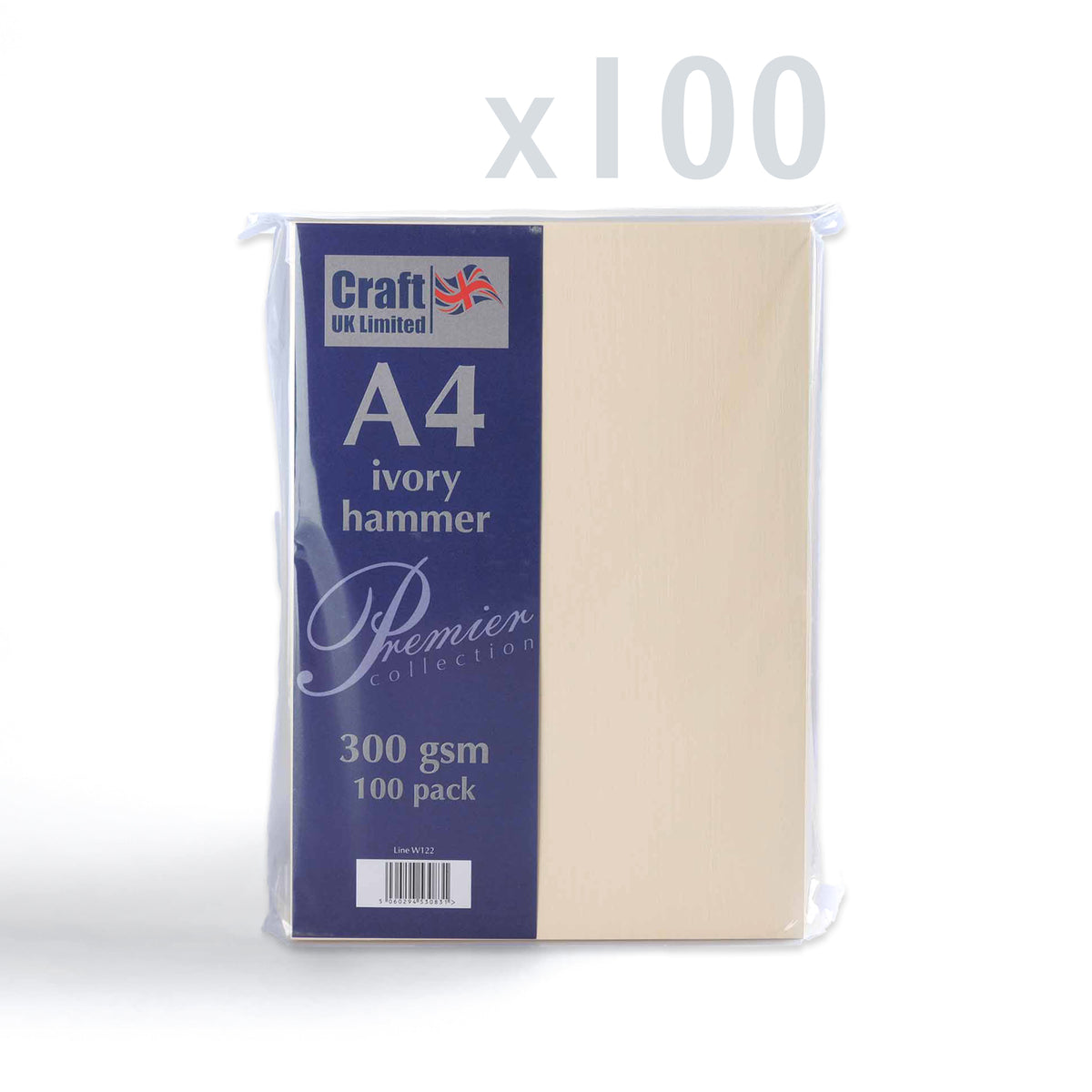 Cartoncino 300 g/m² confezione da 100 pezzi