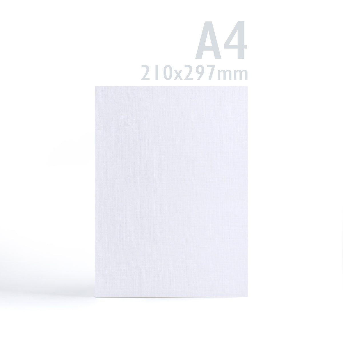Cartoncino 300 g/m² confezione da 100 pezzi