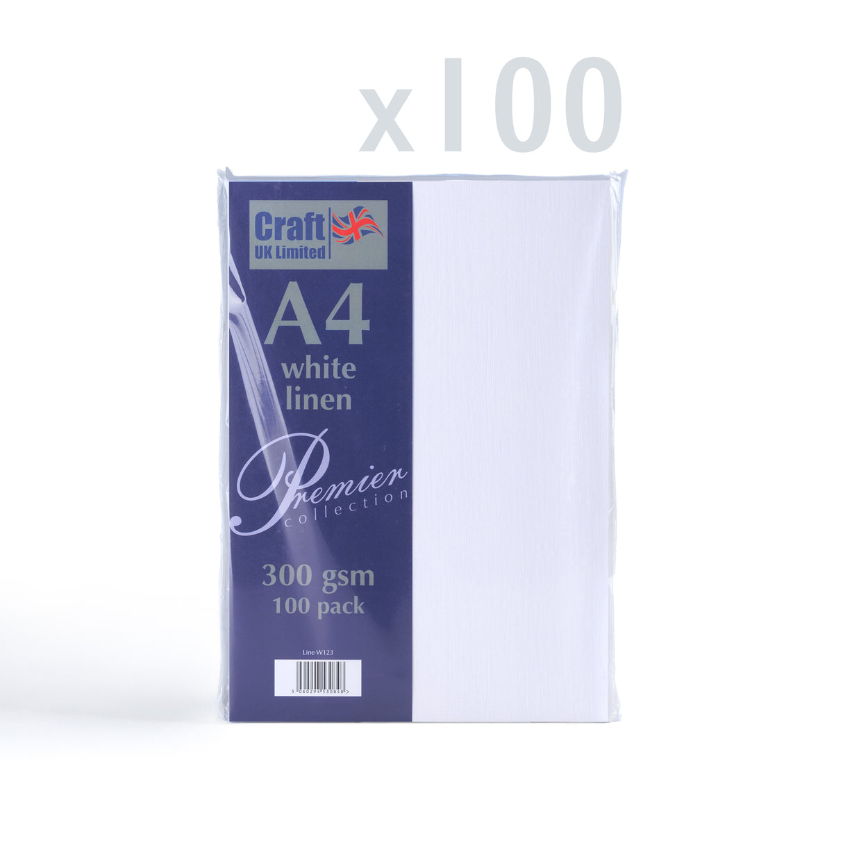 Cartoncino 300 g/m² confezione da 100 pezzi