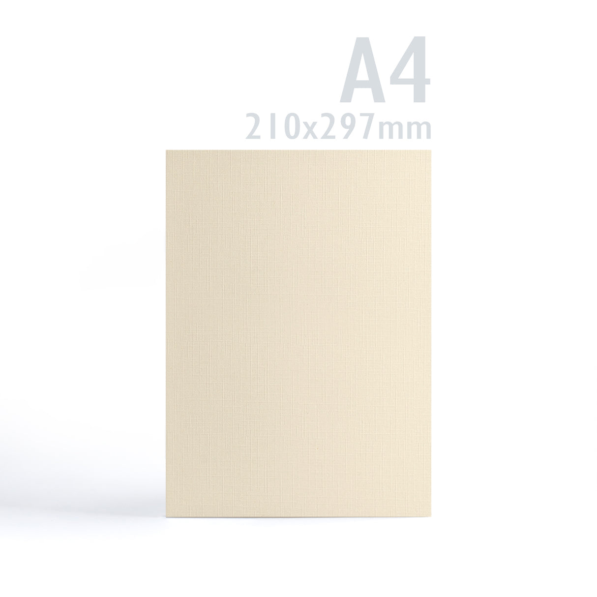 Cartoncino 300 g/m² confezione da 100 pezzi
