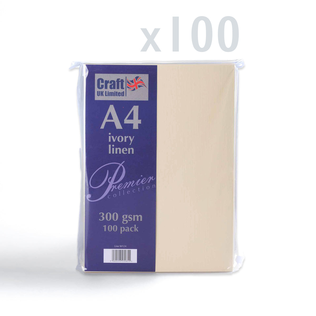Cartoncino 300 g/m² confezione da 100 pezzi