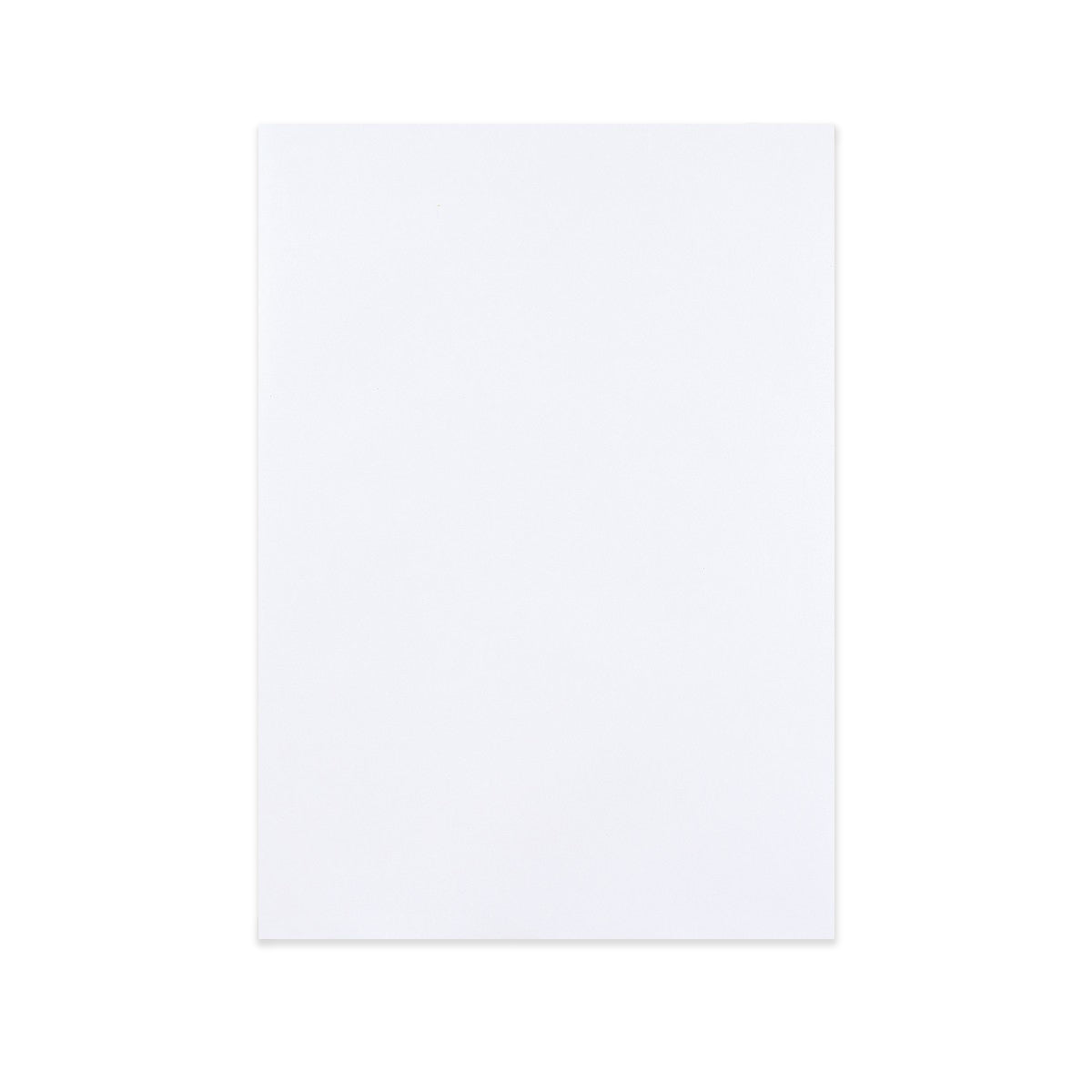 Busta con Dorso Rigido Bianco 312x220 mm 450gr