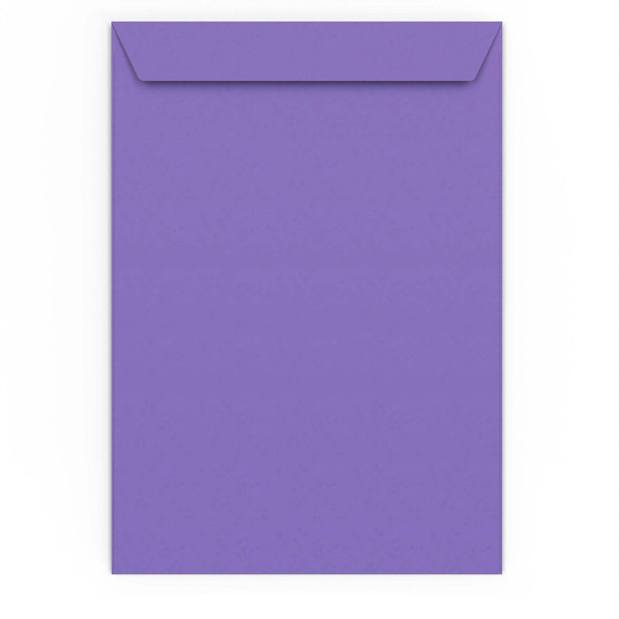 324x229 mm (C4) Busta Gamma Viola