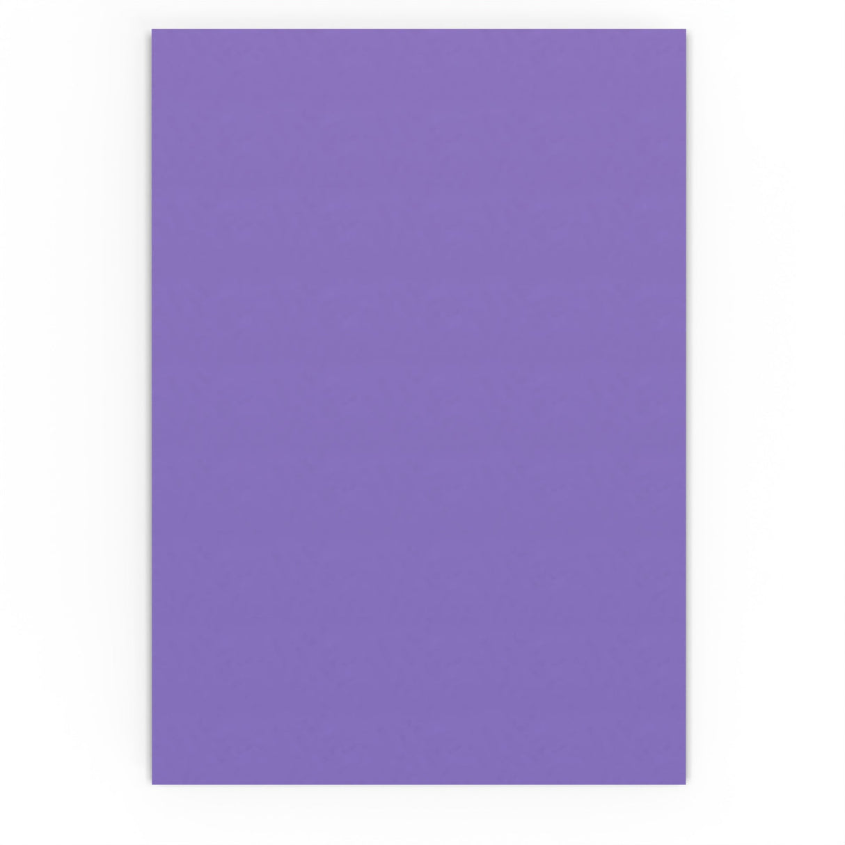 324x229 mm (C4) Busta Gamma Viola