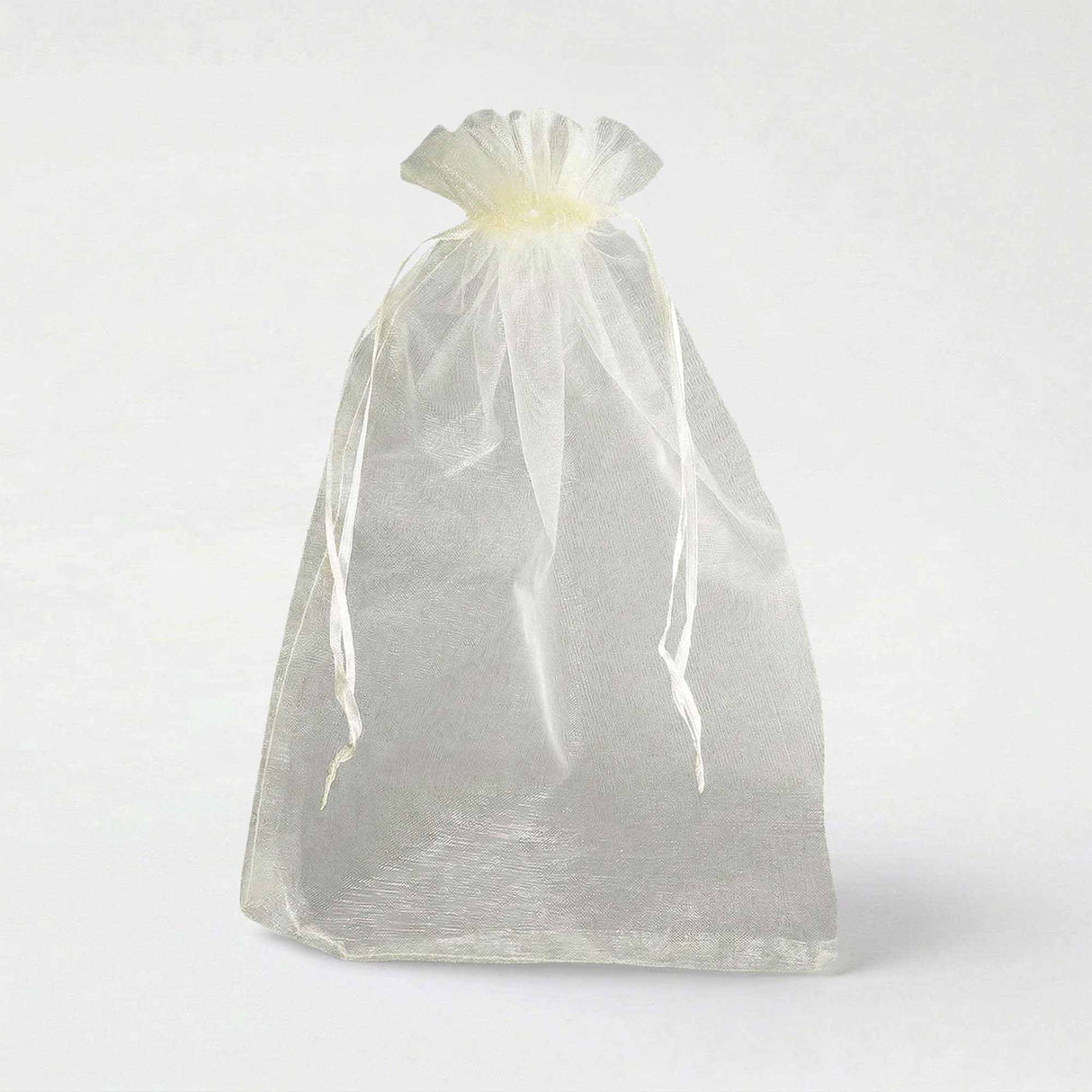 Sacchetti in organza