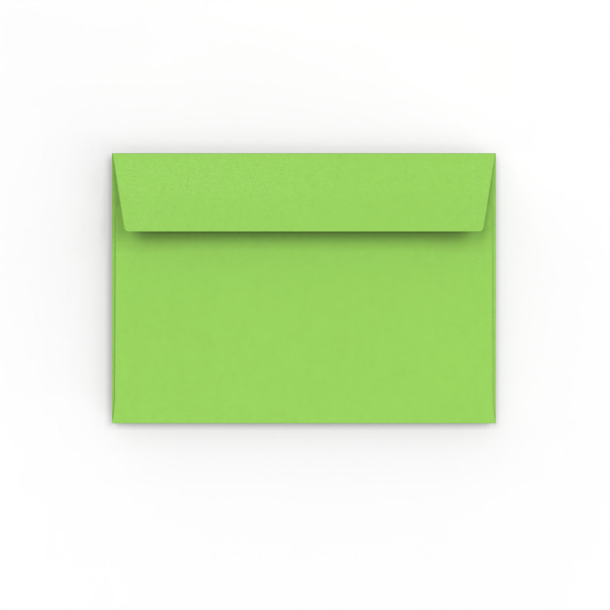 Buste Creative Colours