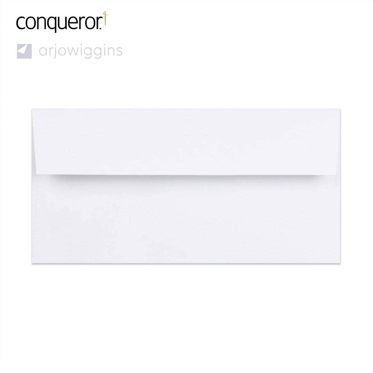 110x220 mm (DL) Busta Conqueror ostrica