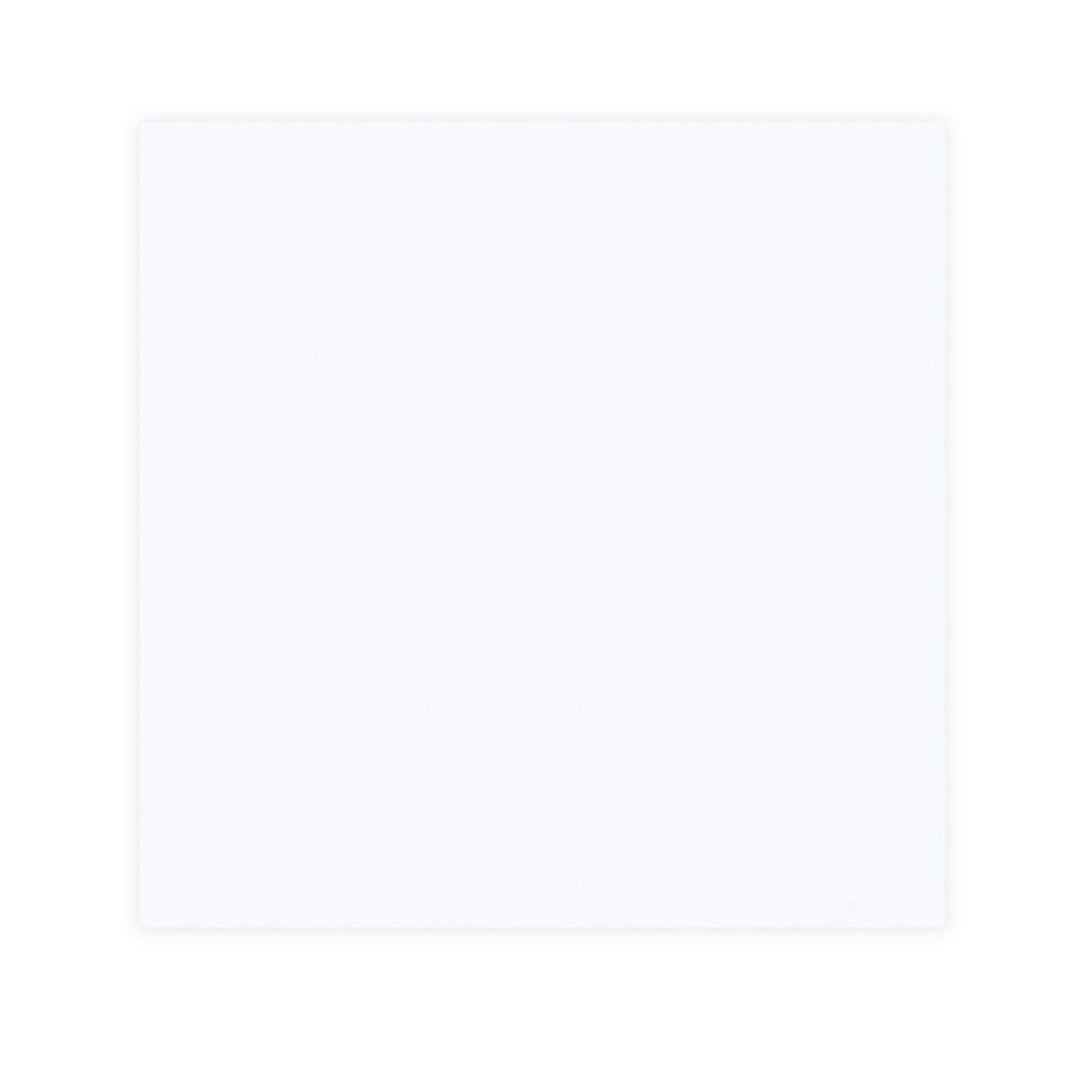 220x220 mm Busta bianca