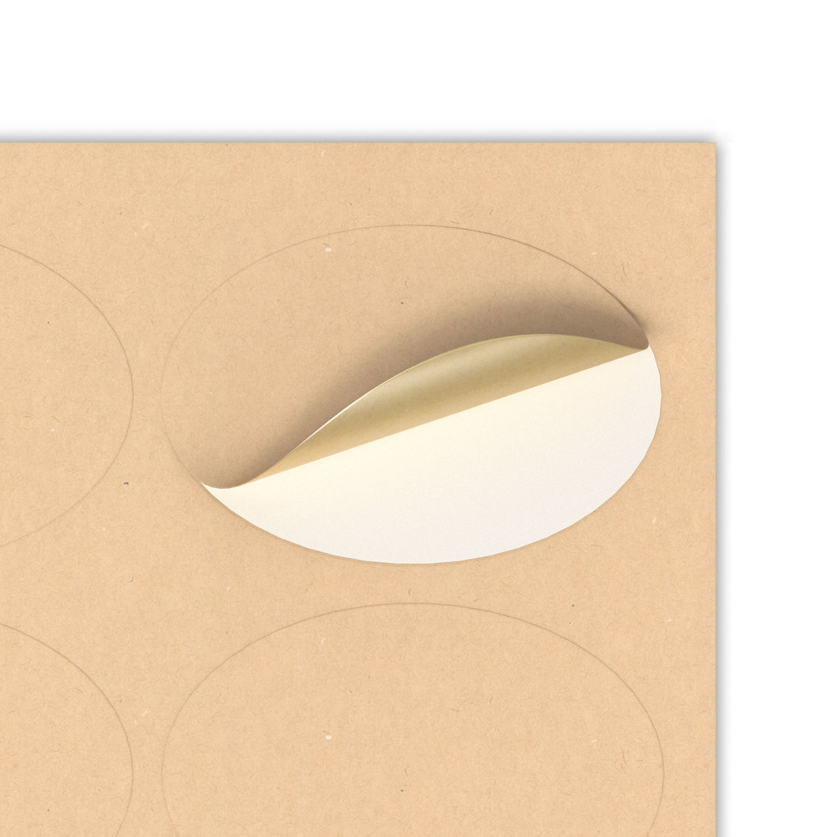 Etichette adesive ovale