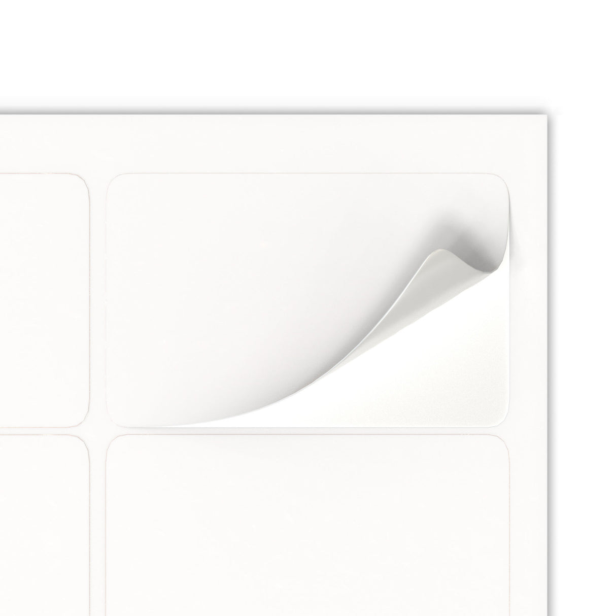 Etichette adesive rettangolari