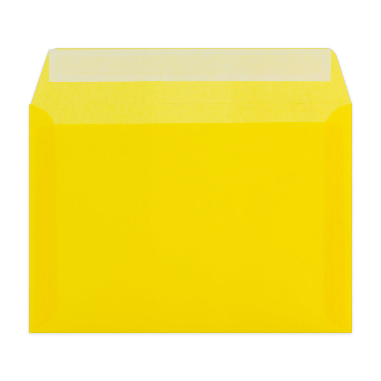 Buste colorate in carta vegetale