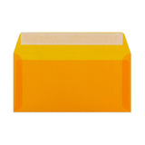 Buste colorate in carta vegetale