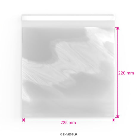 Sacchetti di cellophane (PPO)