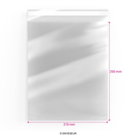 Sacchetti di cellophane (PPO)
