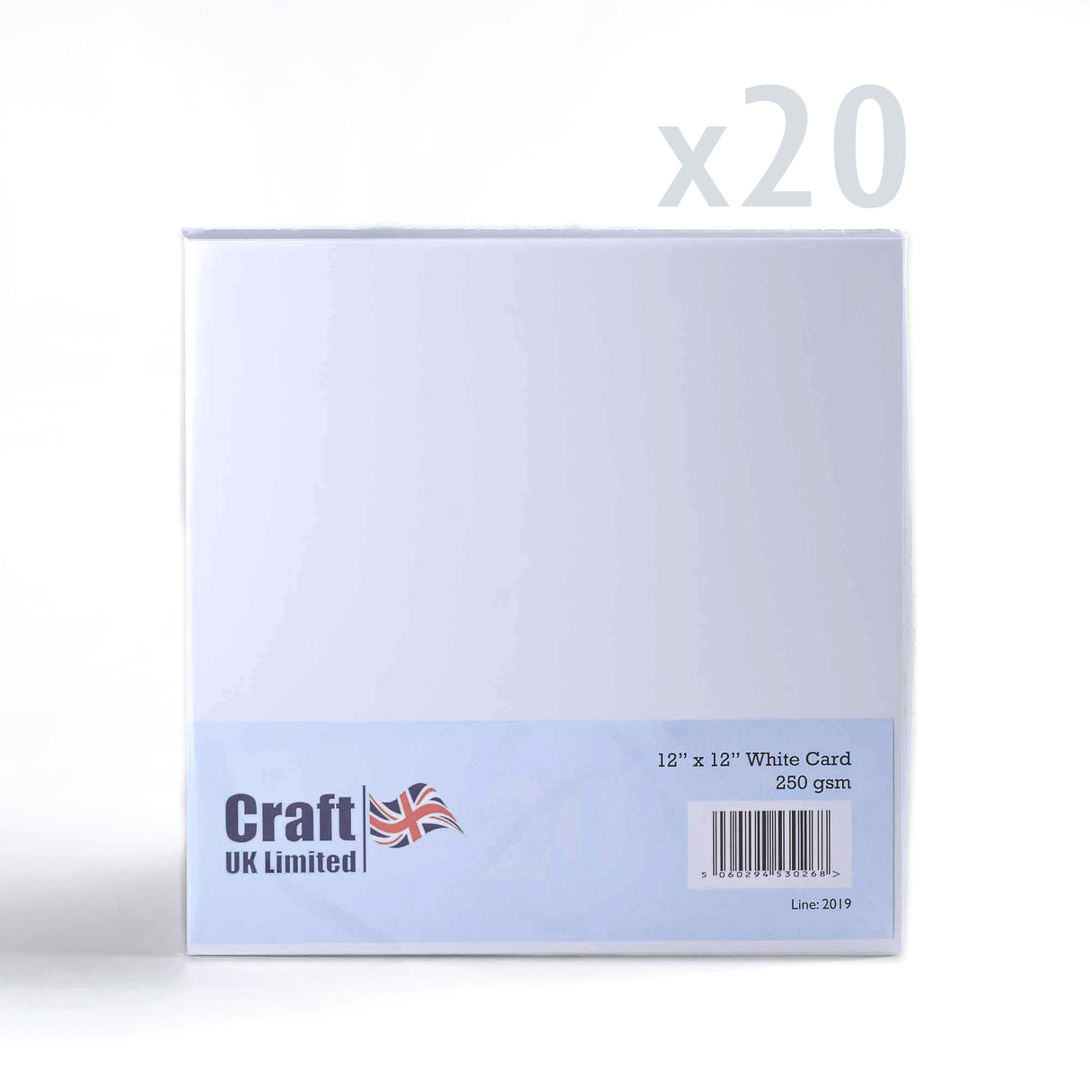 Cartoncino Premier bianco 300x300 250 g/m² confezione