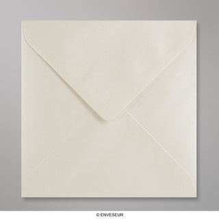 155x155 mm Busta Ostrica Lucido