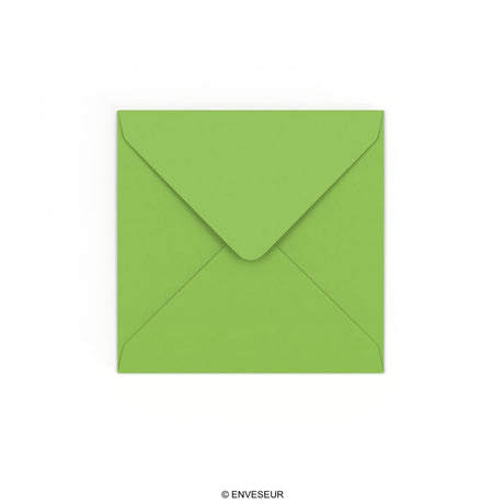130x130 mm Busta Gamma Clariana Verde Medio