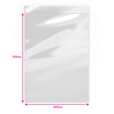 Sacchetto trasparente con chiusura a pressione