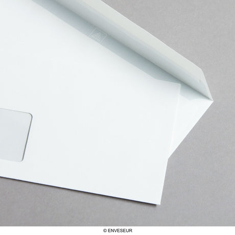 Buste opaline