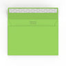 Creative Colour Peel & Seal Envelopes Green 162 x 229 mm (C5)