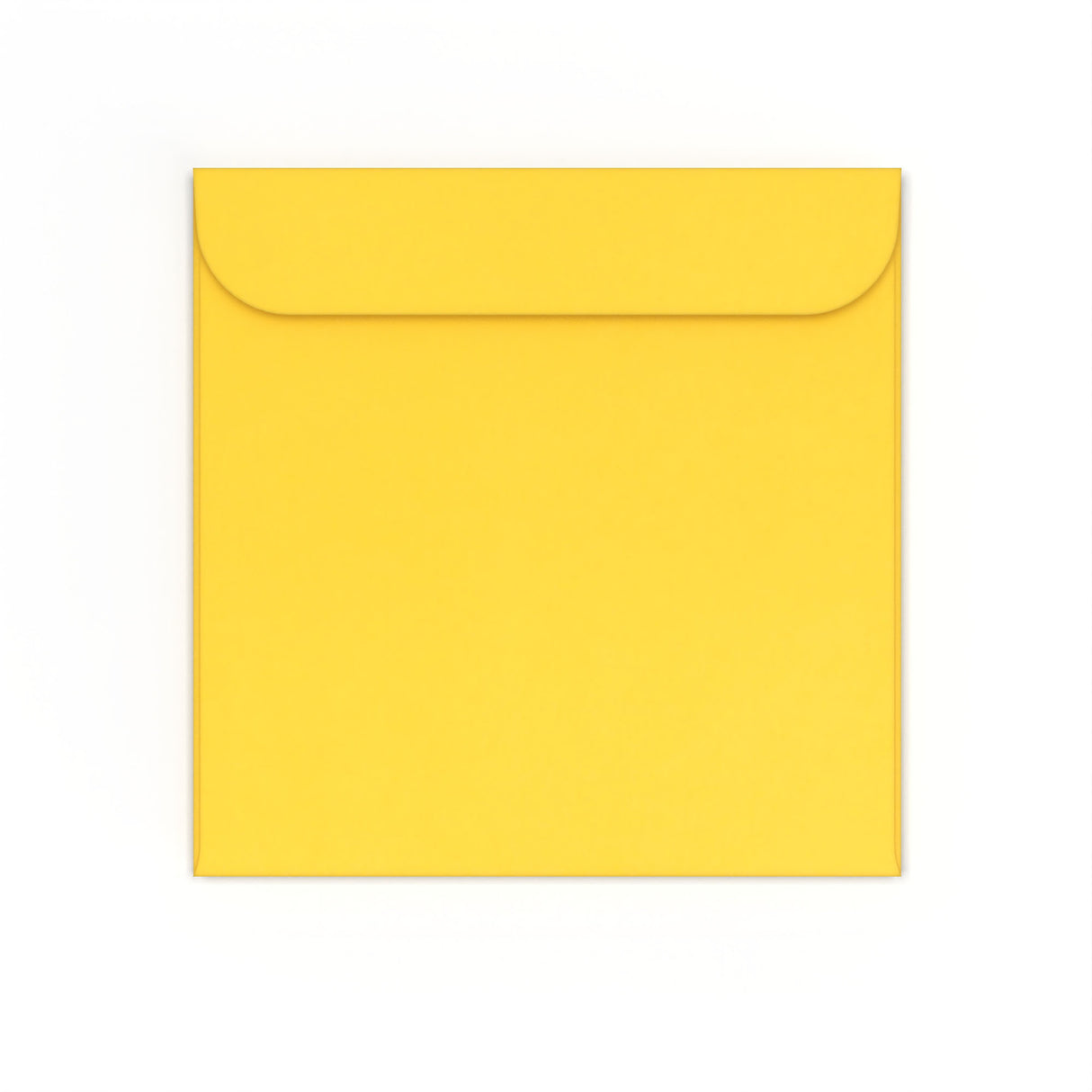 Buste per CD senza finestra