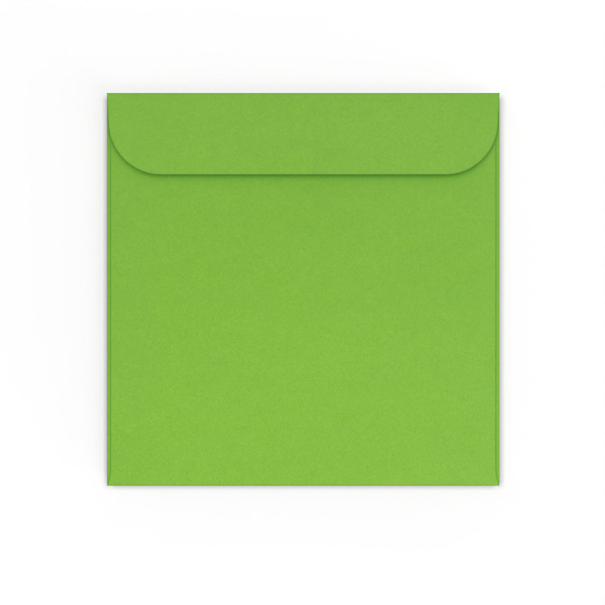 Buste per CD senza finestra