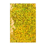 Buste Laminate Olografiche