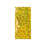 Buste Laminate Olografiche