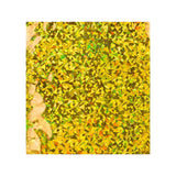 Buste Laminate Olografiche