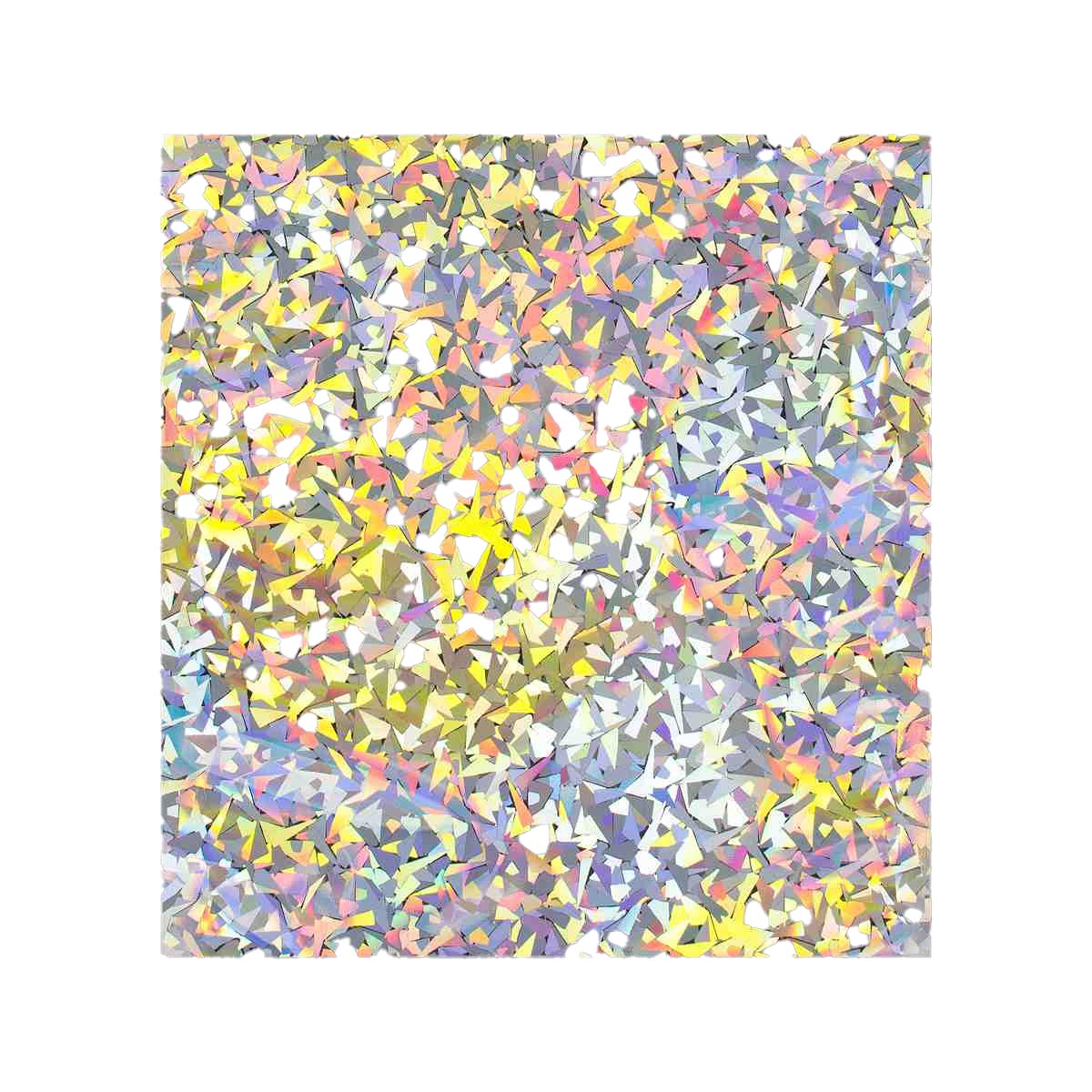 Buste Laminate Olografiche