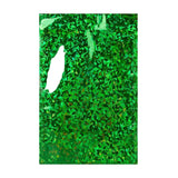 Buste Laminate Olografiche