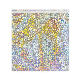 Buste Laminate Olografiche